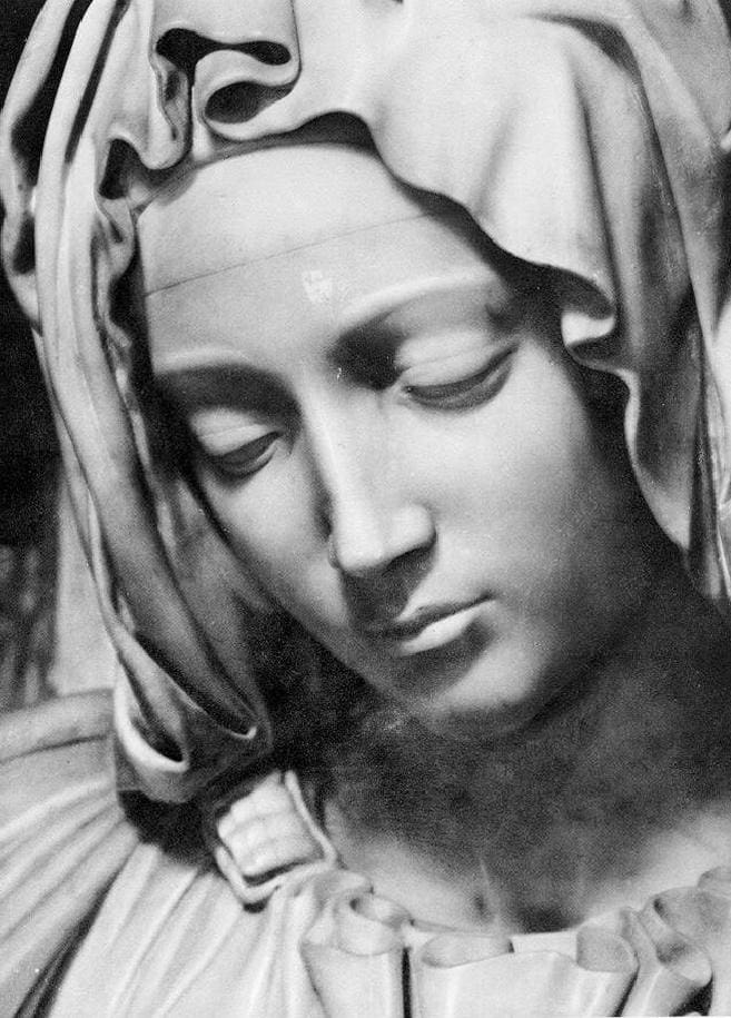 On the Feast of the Assumption Have Hope Have Confidence 